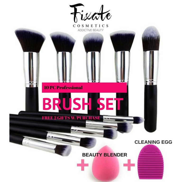 Professional 10 PC Brush Set + Blender & Brush Egg