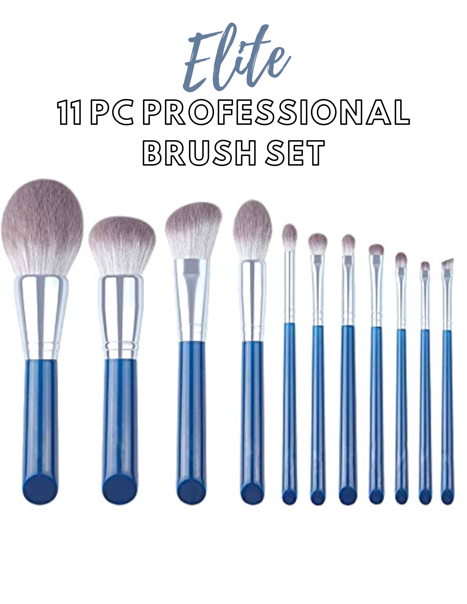Elite Professional 11pc Brush Set