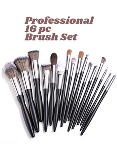 PROFESSIONAL 16PC BRUSH SET