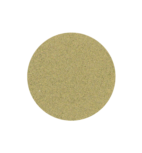 SPECTACLE Single Shadow