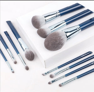 ELITE PROFESSIONAL 11PC BRUSH SET