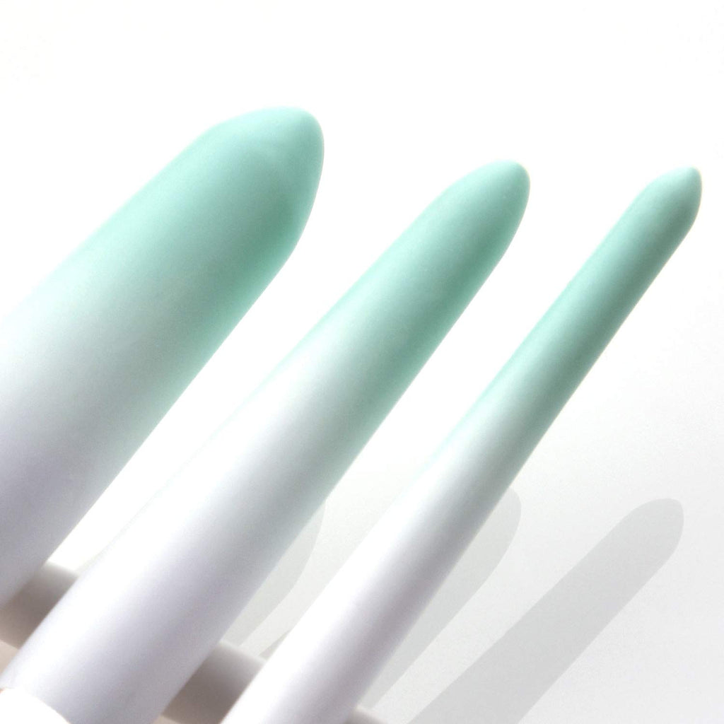 MINT DIP 12pc Brush Set
